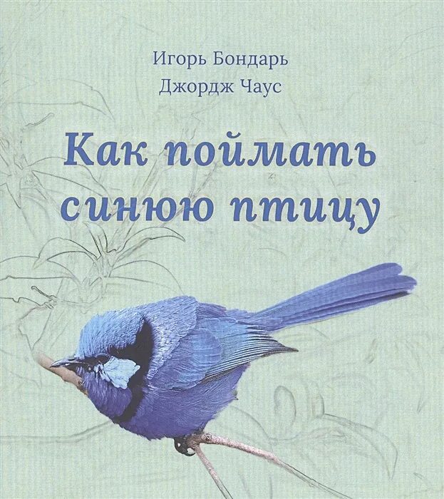 Птичка когда пишешь. День птиц слайд. Стих птичка. Фото птицы в луже. Арчибальд торберн две лазоревки картина.