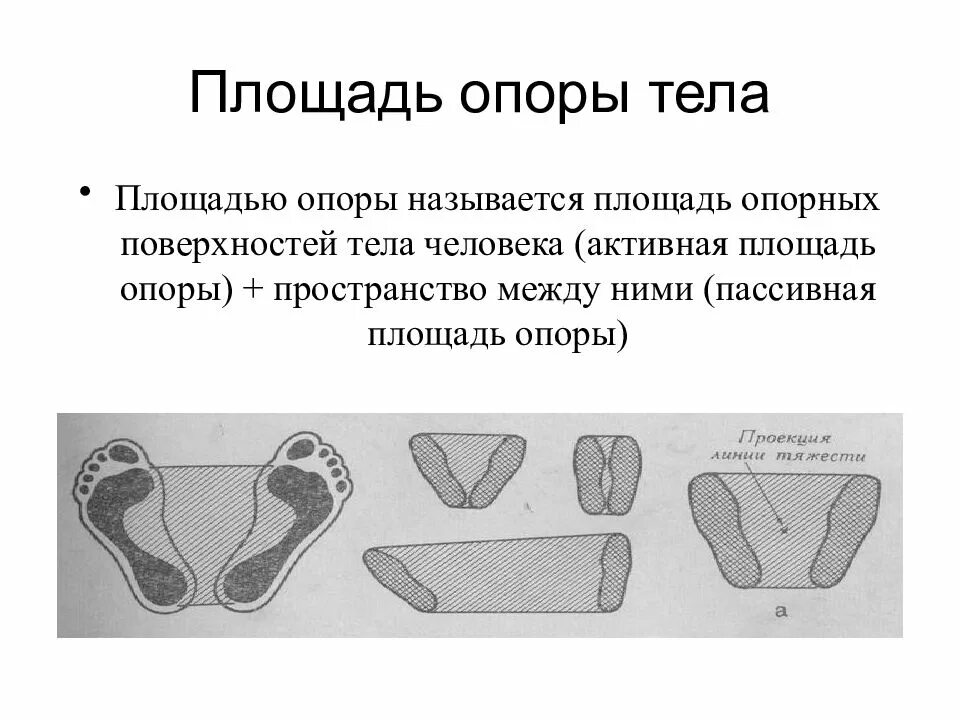 Увеличить площадь опоры. Центра тяжести тела к площади опоры. площадь опоры. площадь опоры человека. площадь опоры в анатомии.