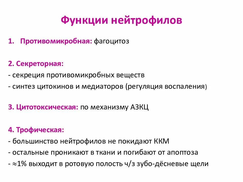 Нейтрофилы. Фагоцитирующие нейтрофилы. Стадии развития нейтрофилов. Синтез нейтрофилов. Сегментоядерные нейтрофилы препарат.