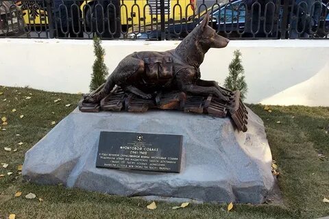 Где памятник собаки