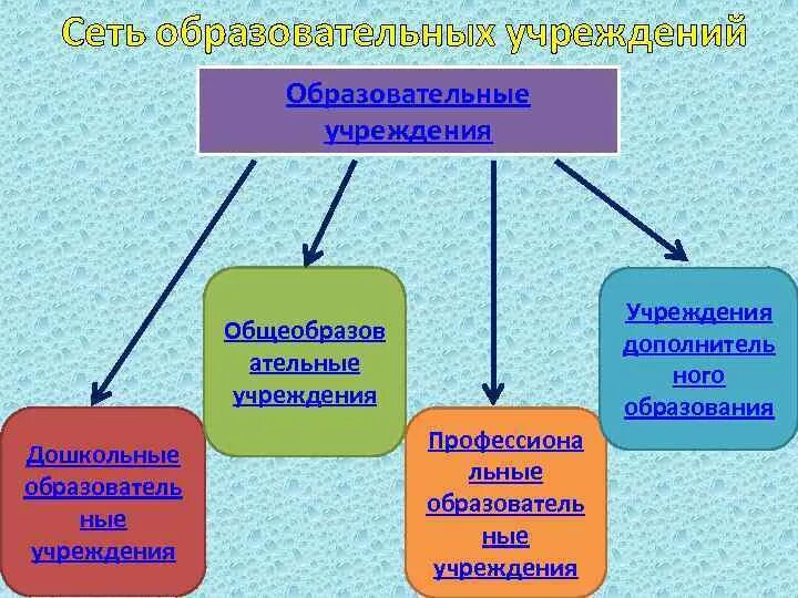 Перечислите общеобразовательные организации. Сеть образовательных учреждений. Сеть образовательных организаций. Сеть образовательных учреждений в России. Система образования в России сеть образовательных учреждений.