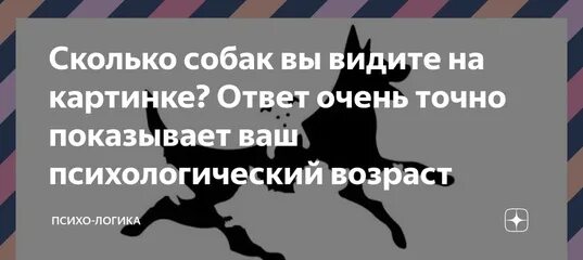 Сколько собак видишь. Сколько собак вы видите на картинке. Сколько собак на картинке. Сколько собак на картинке тест. Тест на психологический Возраст с собаками.