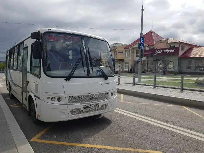 Автобусные маршруты в г белгород. Белгород маршрут автобуса 2 02. 115б маршрут белгород. Остановки маршрута 41а белгород. Маршрут движения автобусов белгород.