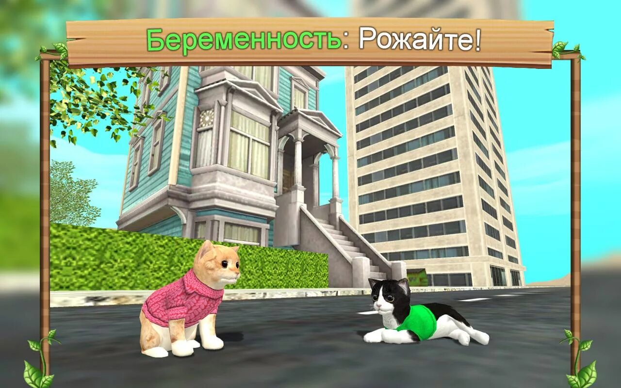 Cat game играть. Кэт сим игра. Игры для кошек. Игра симулятор кота. Игра кошки и собаки.