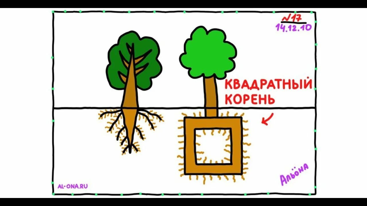 Корень математический. Квадратный корень дерева. Шутки про квадратный корень. Квадратный корень рисунок.