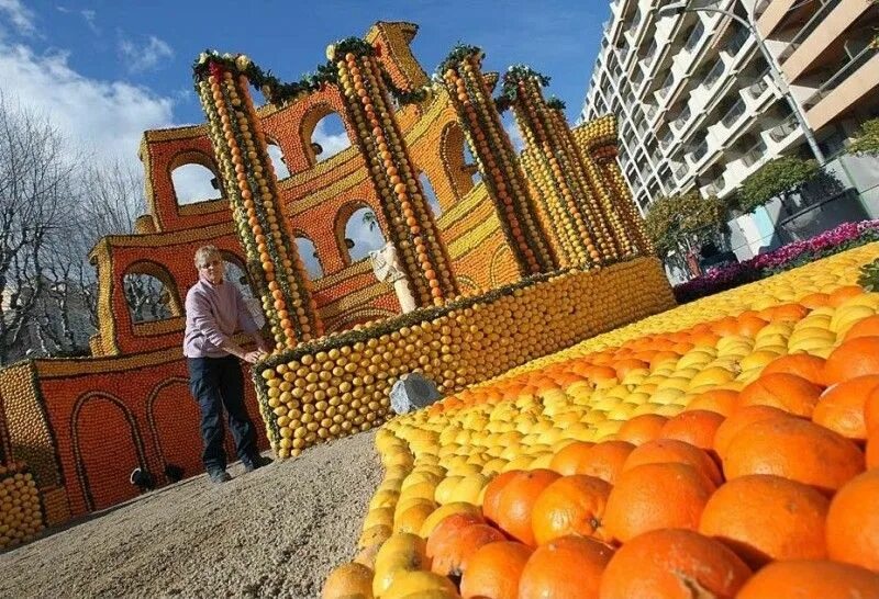 Огромные мандарины. Гигантский апельсин. Гигантский мандарин. Самый большой мандарин. Самый большой апельсин в мире.