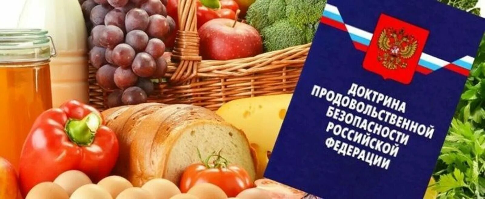 Продовольствие безопасность. Продовольственная безопасность. Продовольственная безопасность России. Обеспечение продовольственной безопасности. Доктрина продовольственной безопасности.