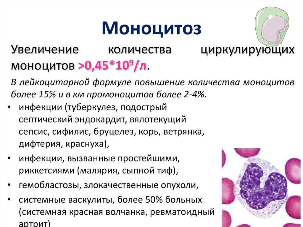 Повышенные моноциты причины. Моноциты повышены. Повышены моноциты в крови. Увеличение количества моноцитов. Причины повышения моноцитов.