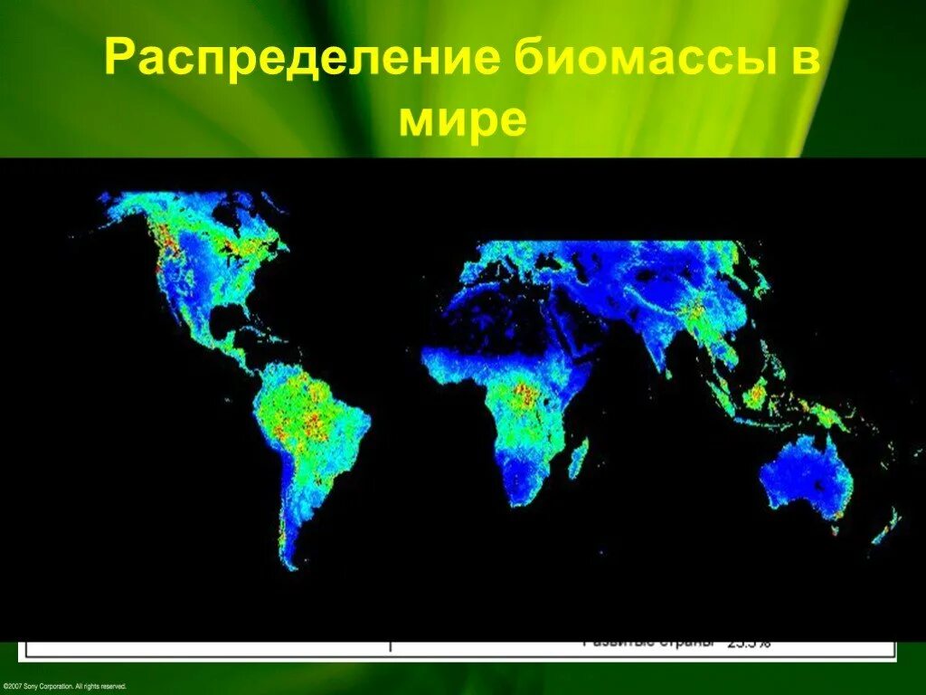 Сколько процентов биомасса земли находится в океане. Распределение биомассы. биомассы в мире. распределение биомассы на земле. биомасса мирового океана.