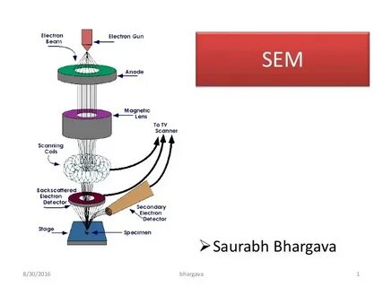 Transmission microscopy