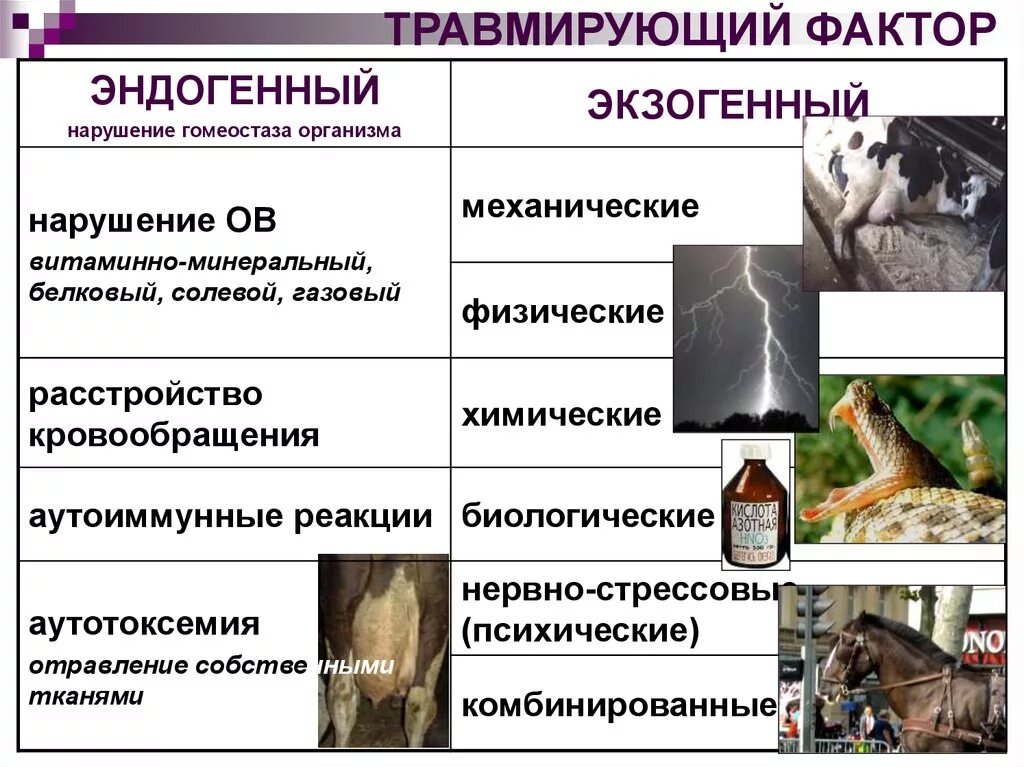 Эндогенные факторы повреждения. Эндогенные и экзогенные факторы. Эндогенные повреждающие факторы. Эндогенные и экзогенные факторы болезни. Реакцией организма на неблагоприятные факторы