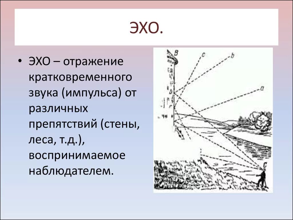 Эхо гостомеля. Отражение звука Эхо. Эхо презентация. Отражение звука Эхо звуковой резонанс. Отражение звука Эхо физика.