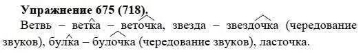 русский язык 5 класс упражнение 204. а. упражнение по русскому языку пятый класс. упр629. гдз по русскому 5 класс шмелёв.