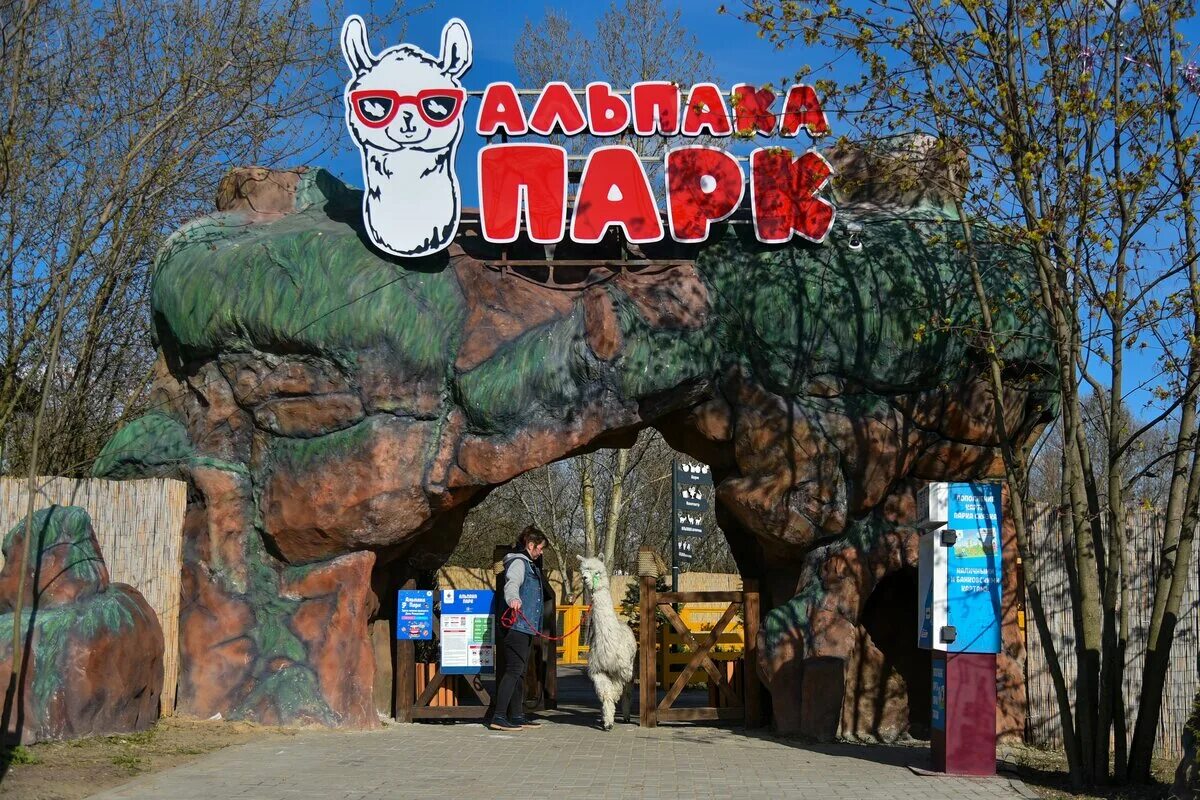 Альпака парк сказка. Альпака парк в парке сказка. Парк альпак в Москве. Парк сказка в Москве Крылатское альпака парк.