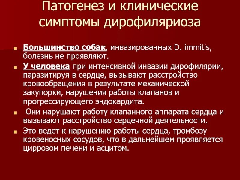 Цикл дирофиляриоза у собак. Жизненный цикл дирофилярии. Симптомы дирофиляриоза у человека. Цикл развития дирофилярия.