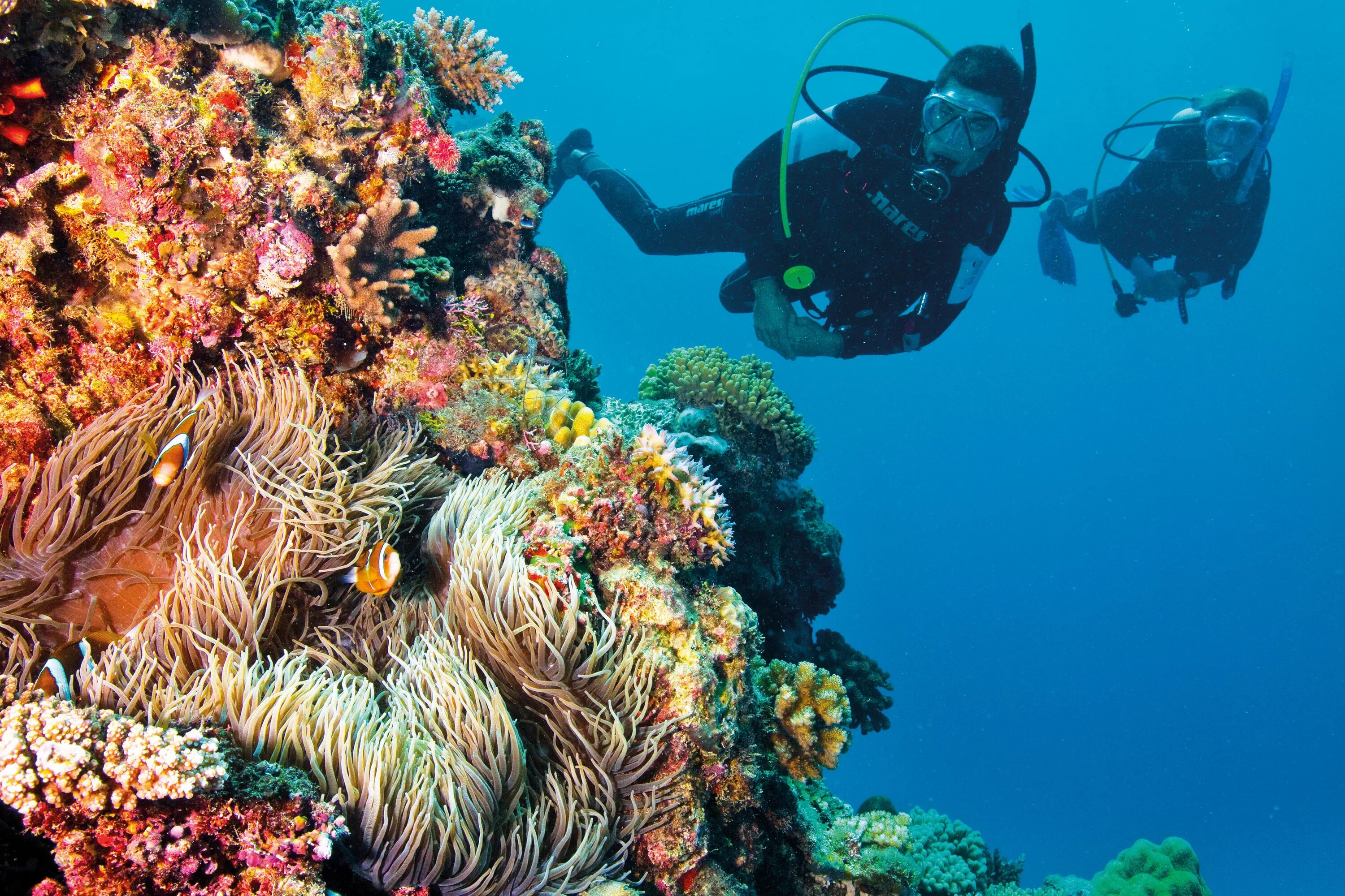 Reef tourism. Дайвинг Австралия Барьерный риф. Большой Барьерный риф с аквалангистом. Большой Барьерный риф Австралия туризм. Морской парк на рифах Туббатаха.