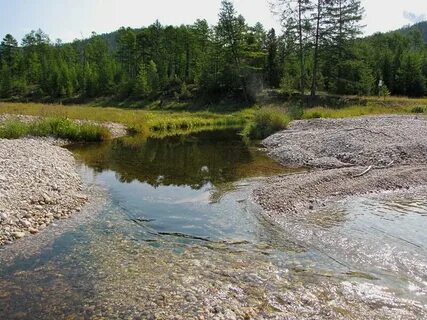 Устье реки байкал