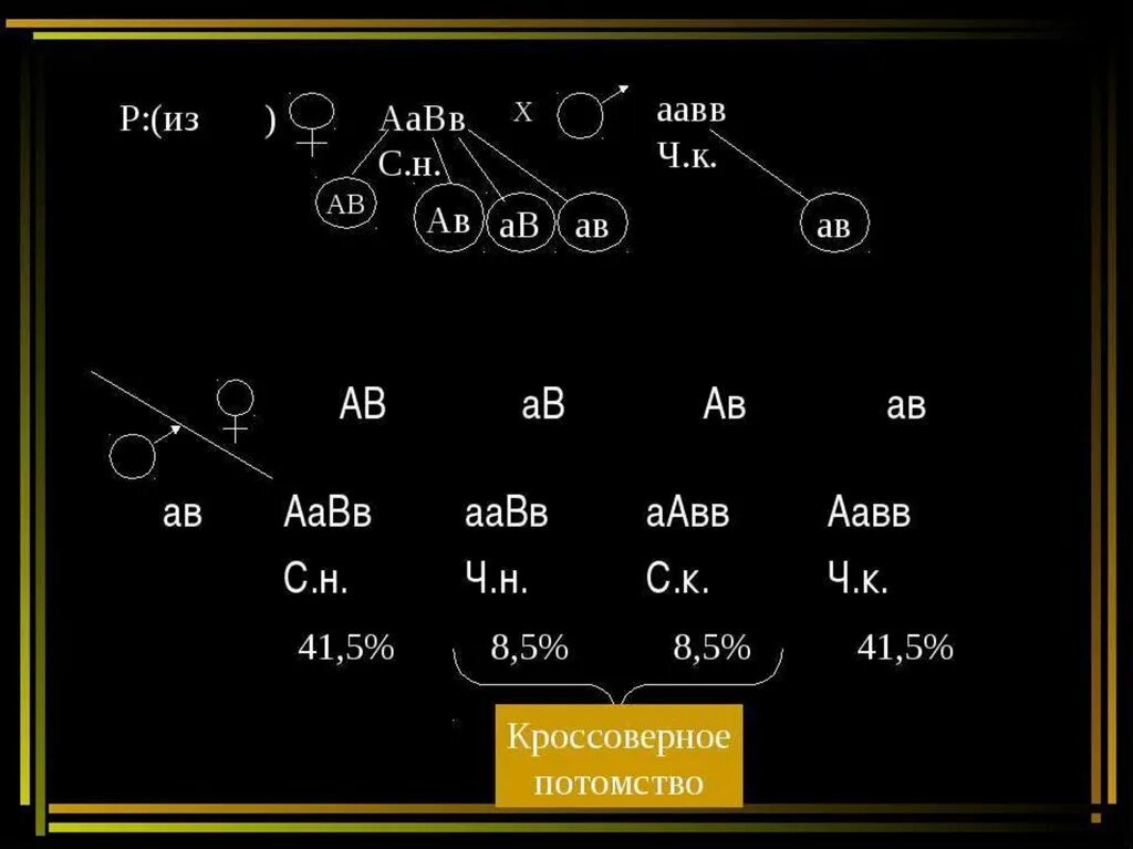 ААВВ. ААВВ Х ААВВ. ААВВ Х ААВВ скрещивание. Кроссоверное потомство. Aabb aabb полное доминирование