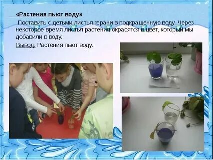 Как правильно принять цветы