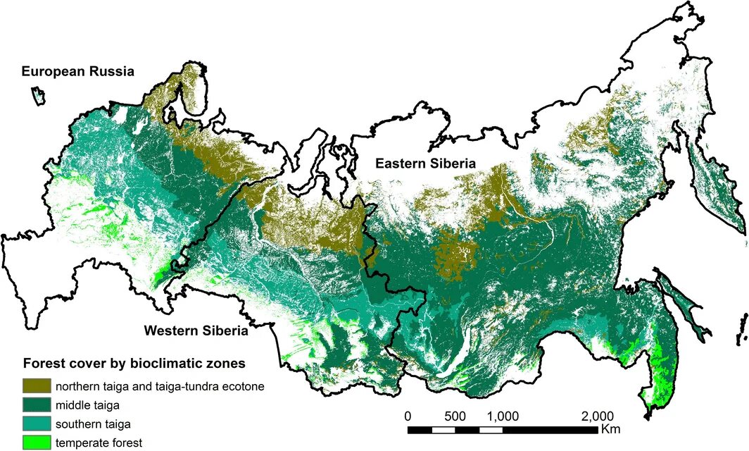 Natural zones. Карта лесов России. Хвойные леса России на карте. Карта лесных массивов России. Типы лесов в России карта.