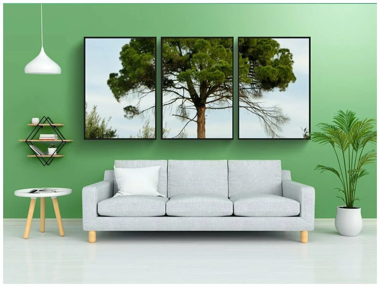 постер сосна