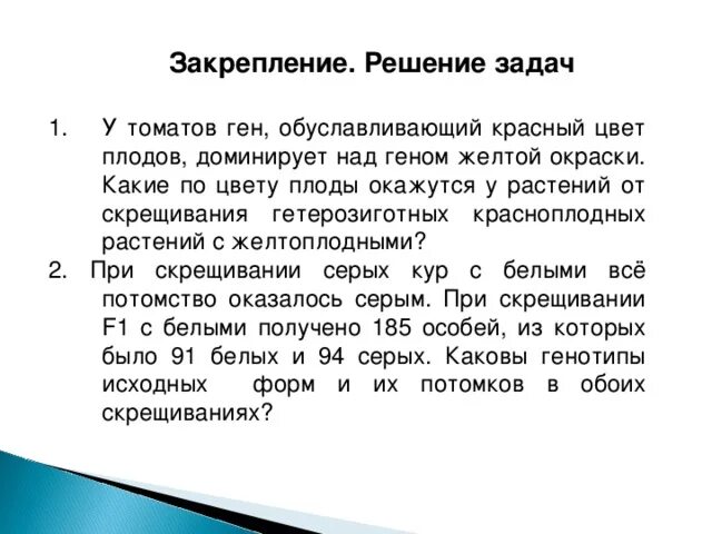 У томатов красная окраска доминирует над желтой