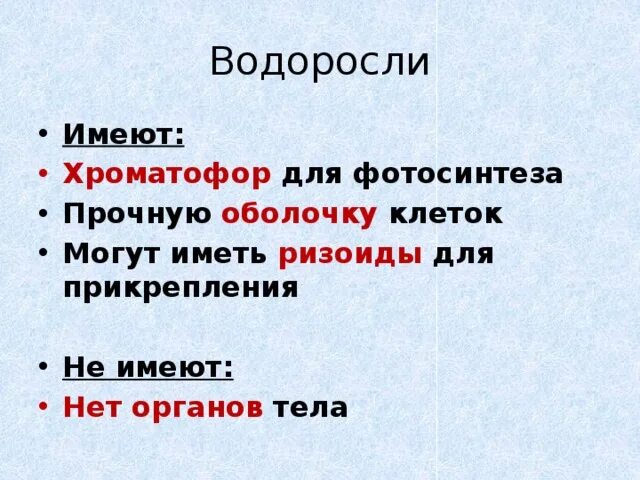 Водоросли не имеют. Закончи предложение водоросли не имеют.