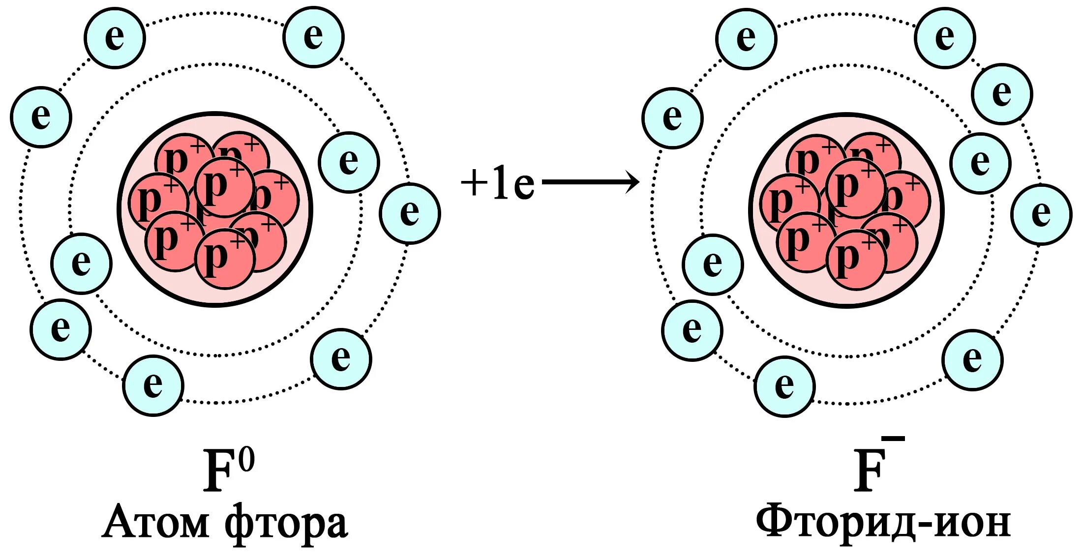 Семейство фтора. Схема атома фтора. Строение ядра фтора. Схема ядра фтора.