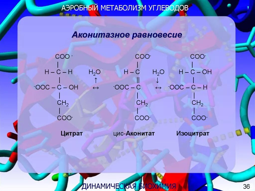 Анаэробный метаболизм пирувата. Аэробный обмен веществ. Аэробный метаболизм. Общая схема аэробного метаболизма. Анаэробный тип обмена веществ.