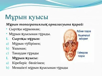 Жалаңаш көршілер