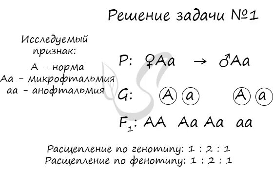 Доминантный ген обуславливающий развитие нормальных глазных яблок. Отсутствие глазных яблок рецессивный. Доминантный ген а детерминирует развитие нормальных. Виды расщепления по фенотипу.