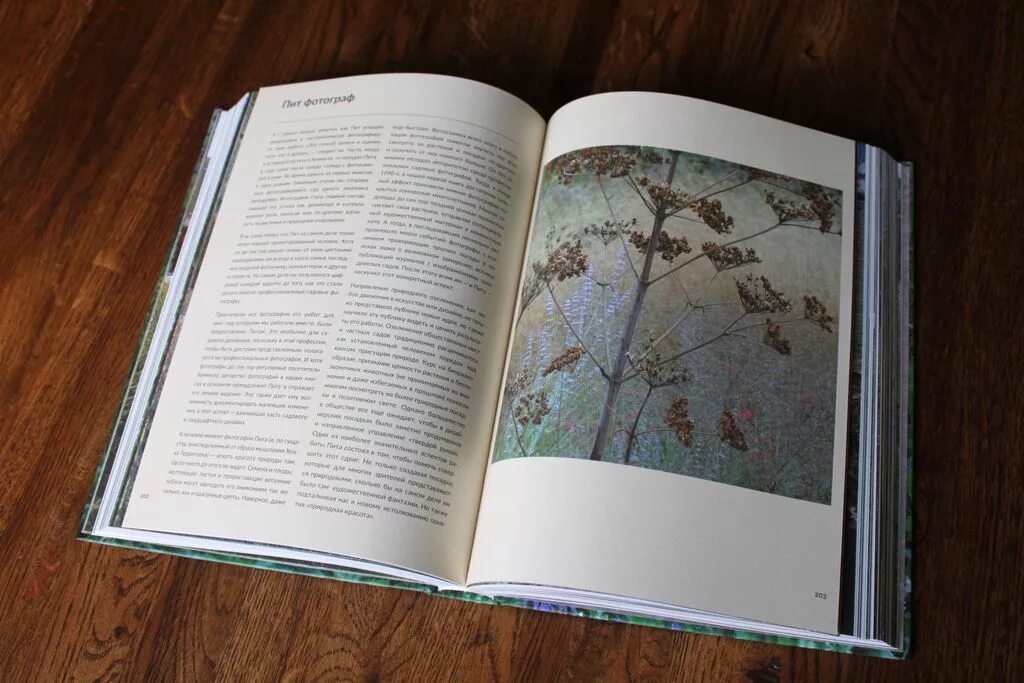 Книга Снов Nepeta Страшилки Вики Fandom