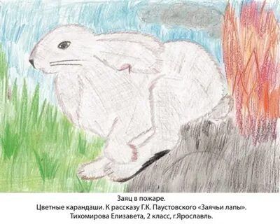 Рисунок к рассказу зайчие лапы