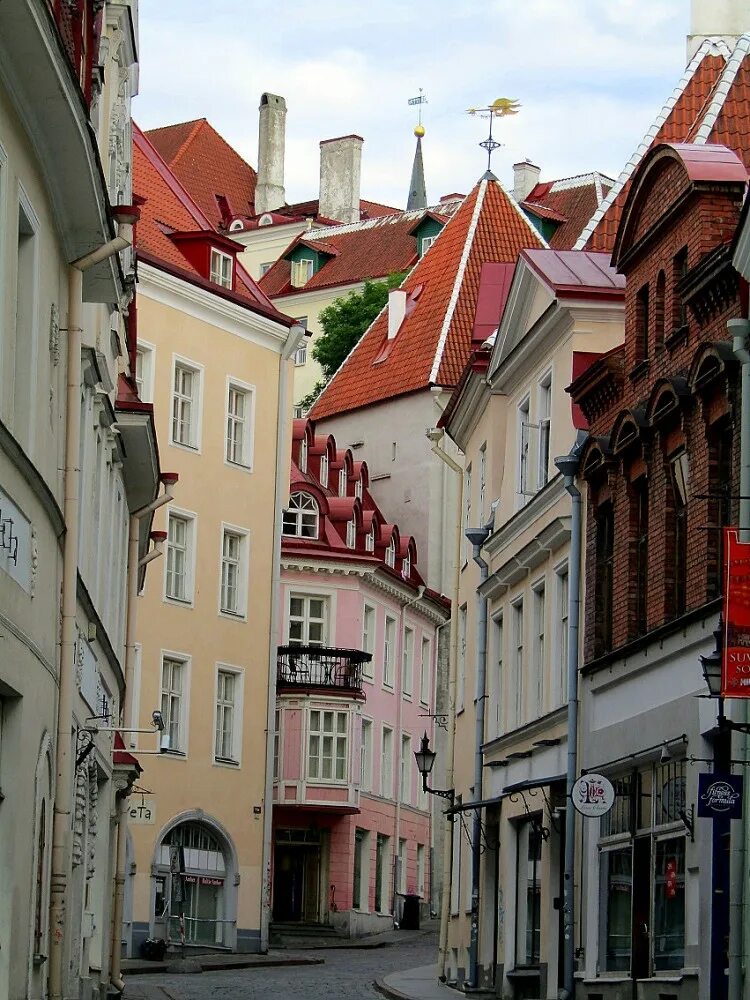 Прибалтика таллин. Таллин горы. Город таллин (tallinn). Старые улочки таллина. Таллин столица.
