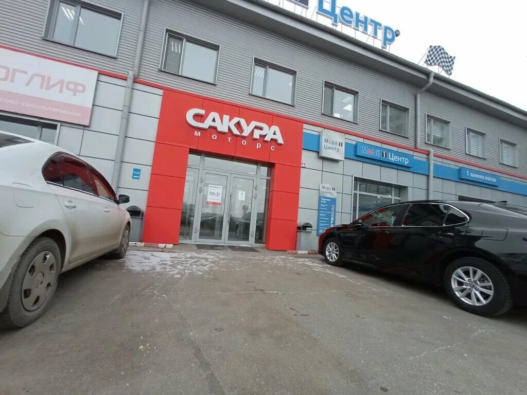 Сакура моторс вавилова. Сакура Моторс Красноярск. Х Моторс Красноярск. Сакура Моторс Красноярск сотрудники. TL Motors Красноярск.