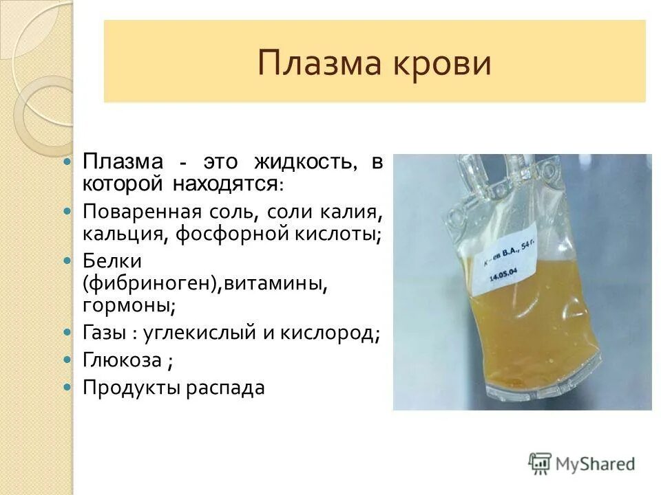 Плазма это кровь. Плазма крови. Плазма крови это в биологии. Определение плазмы крови. Как используют плазму крови.