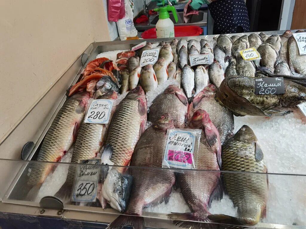 рыба рядом. рыба в магазине. рыбный ряд на рынке. рыбы в ряд. рыба таганрог.