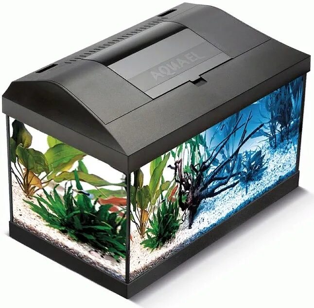 Аквариум aquael leddy 60 set. Аквариум aquael leddy set plus 75 105 л прямой белый. Аквариум aquael leddy set plus 40. Аквариум aquael leddy set day & night 75 прямой, белый (105 л). Аквариум aquael"leddy xl d&n 60" прямой (72л).