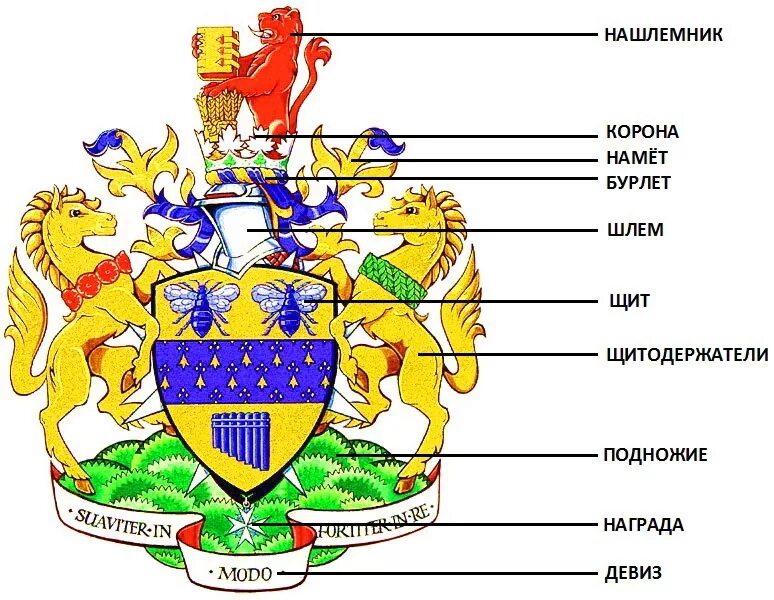 Девиз синегорцев. Герб. Элементы герба. Структура герба. Геральдика символы.