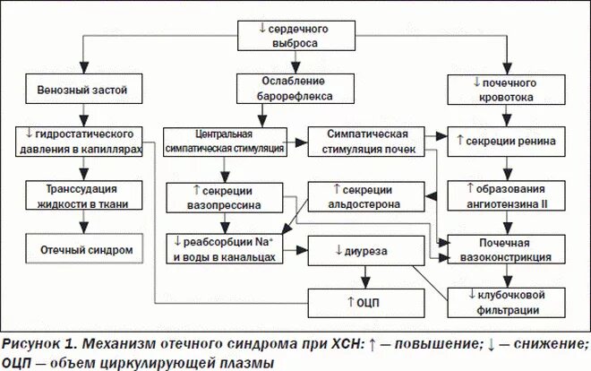 Механизм развития синдрома. Механизм развития отеков при сердечной недостаточности. патогенез отеков при хсн. патогенез сердечных отеков патофизиология. отеки при сердечной недостаточности патогенез.