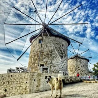 Visit local landmarks