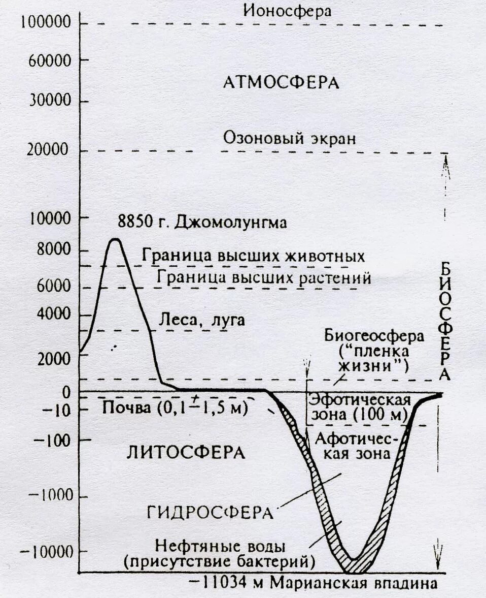 Строение биосферы схема. Отметьте границы биосферы. Границы атмосферы литосферы гидросферы. Границы биосферы схема.