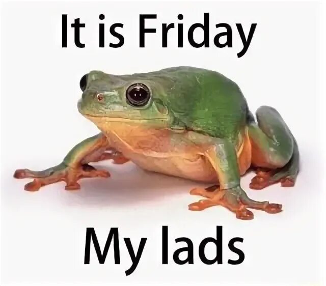 This my friday. Среда чуваки. It is Friday. It is Friday Frogg. It is Friday Мем.