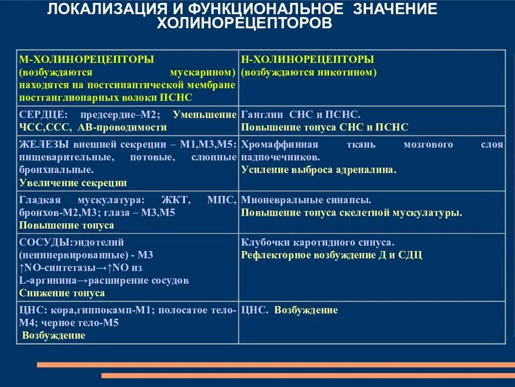 Эффекты холинорецепторов. М1 холинорецепторы эффект. Н холинорецепторы. Холинорецепторы их виды. Н-холинорецепторы локализация.