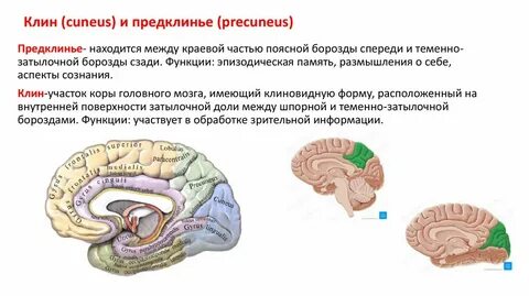 Между бороздами