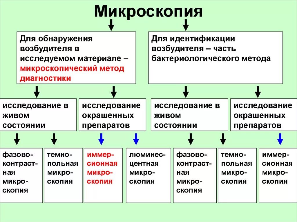 Определите вид исследования. Методы микроскопического исследования микроорганизмов. типы микроскопии таблица. микроскопический метод диагностики. таблица специальные методы микроскопии.