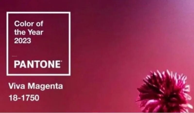 Pantone цвет года мем Pantone unveils two colors of the year for 2016 Color of the year, Pantone, Pant