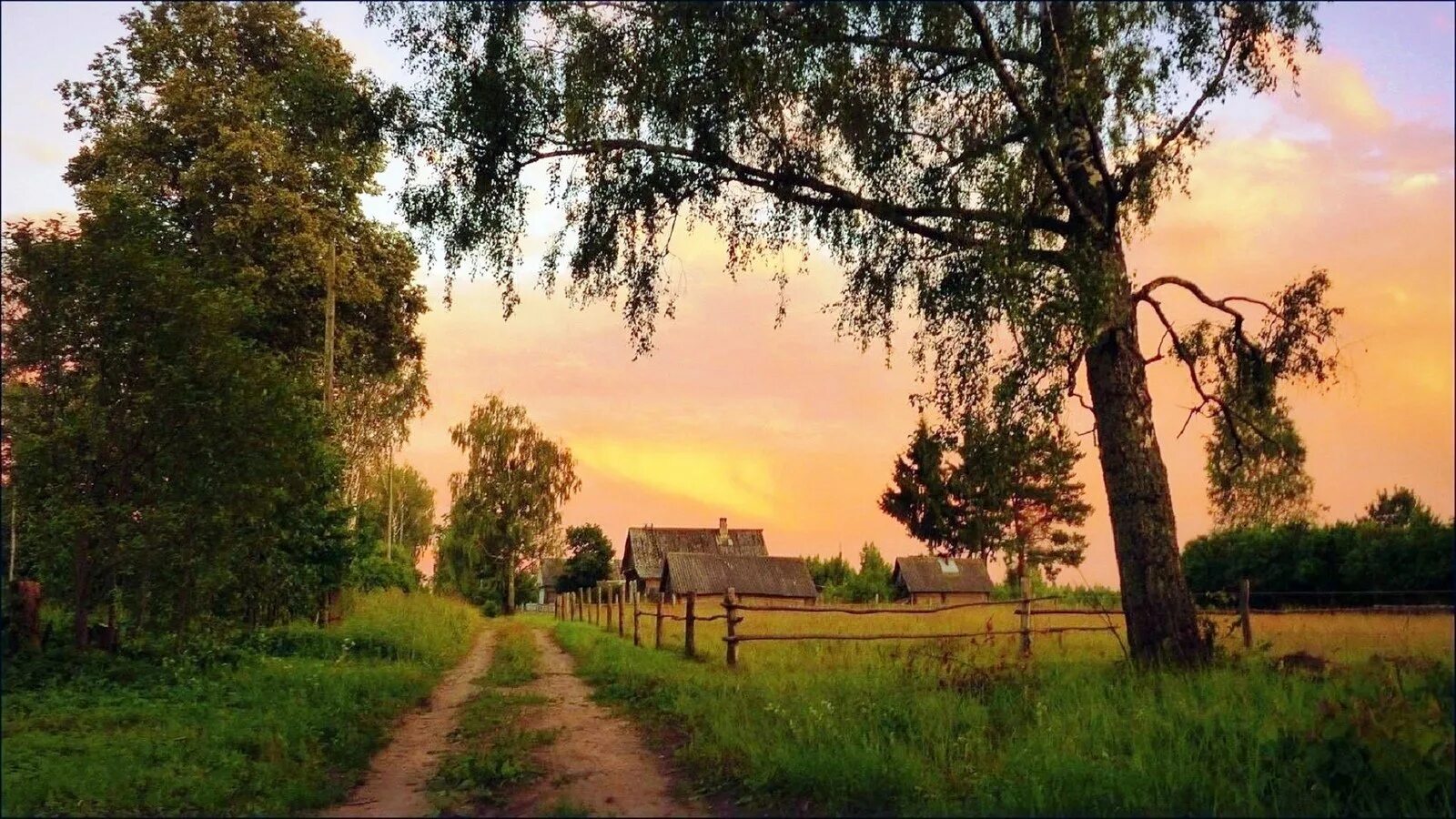 Сельский пейзаж. Природа лето деревня. Лето в деревне. Деревенская природа. Деревня лето вечер