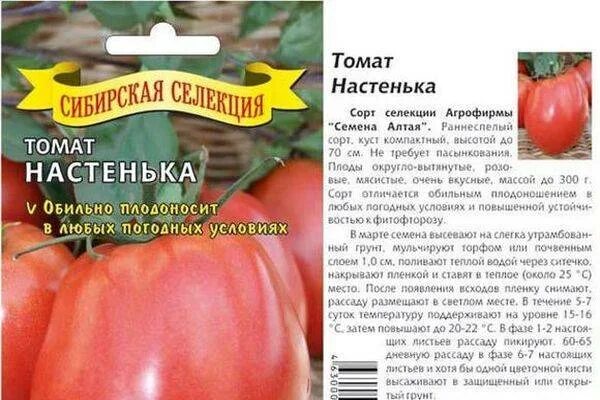 Сорт томатов настенька. Сорт помидор настенька. томат настенька семена алтая. томат настенька f1. помидоры настенька описание сорта.