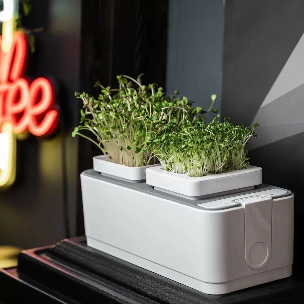 умный сад назад к истокам igar. гидропонная система умный сад. смарт-сад igarden. Igarden умный сад. умный сад для растений.